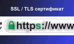 SSL / TLS сертификат для сайта бесплатно на WordPress